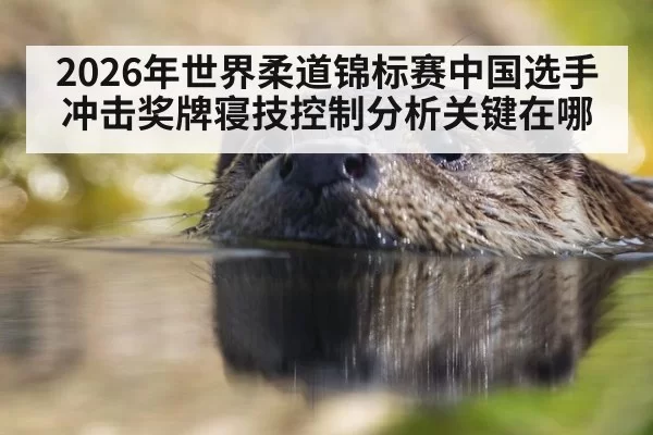 2026年世界柔道锦标赛中国选手冲击奖牌寝技控制分析关键在哪